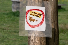 honde-aan-de-deiband-16