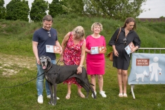 honde-aan-de-deiband-39