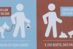 honde-aan-de-deiband-47-3375