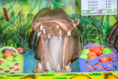 kermis-47