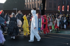 2_Carnavalstoet-60