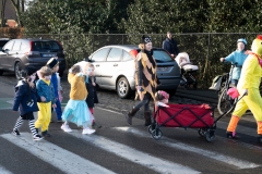 Carnavalstoet-11