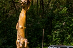 cultuurwandeling-41-Pano