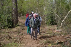 eksterheide-2