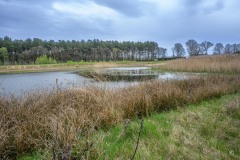 eksterheide-25