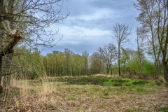 eksterheide-30