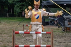 riddermuis-119