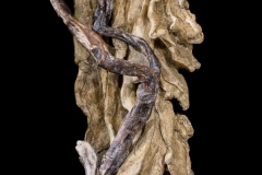 kunstenaars-8