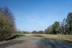 viersel-langs-de-kleine-nete-27-3-2025-29-3193
