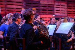 nieuwjaarsconcert-210