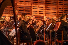 nieuwjaarsconcert-244