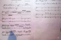 nieuwjaarsconcert-79