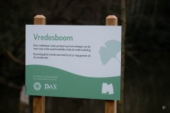plant-een-boom-50