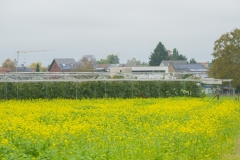 Proevertjestocht-45