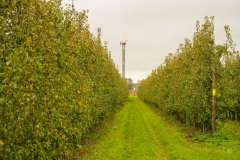 Proevertjestocht-56