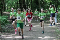 10-miles-37