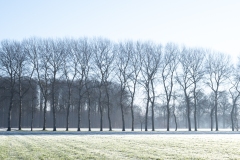 pop-wandeling-16