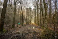 pop-wandeling-21-2693