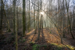 pop-wandeling-22-2692