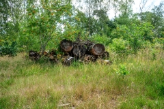 naamloos-2