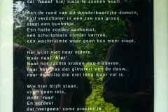 naamloos-68