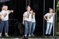 schoolfeest-19