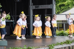 schoolfeest-2
