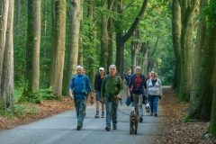 Trapisten-jogging-2026-44