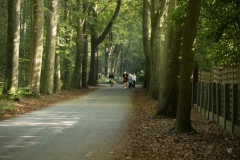 Trapisten-jogging-2026-46