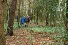 vallentijn-wandeling-4