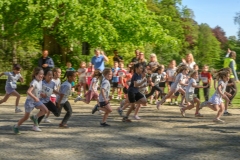 veldloop-12