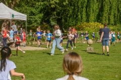 veldloop-28