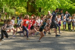 veldloop-31