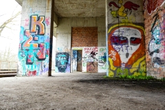 DSCN3520