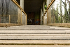 DSCN3564