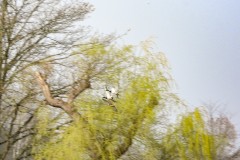 DSCN3580