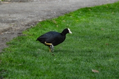 DSCN3591