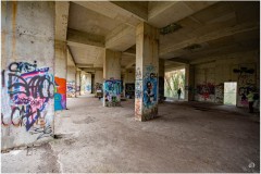 DSC_2106