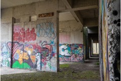 DSC_2111