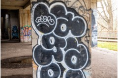 DSC_2114