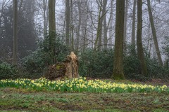 weusjes-kastelenloop-45