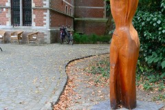 zomer-van-2